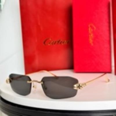 cheap quality Cartier Sunglasses Model No. 1040